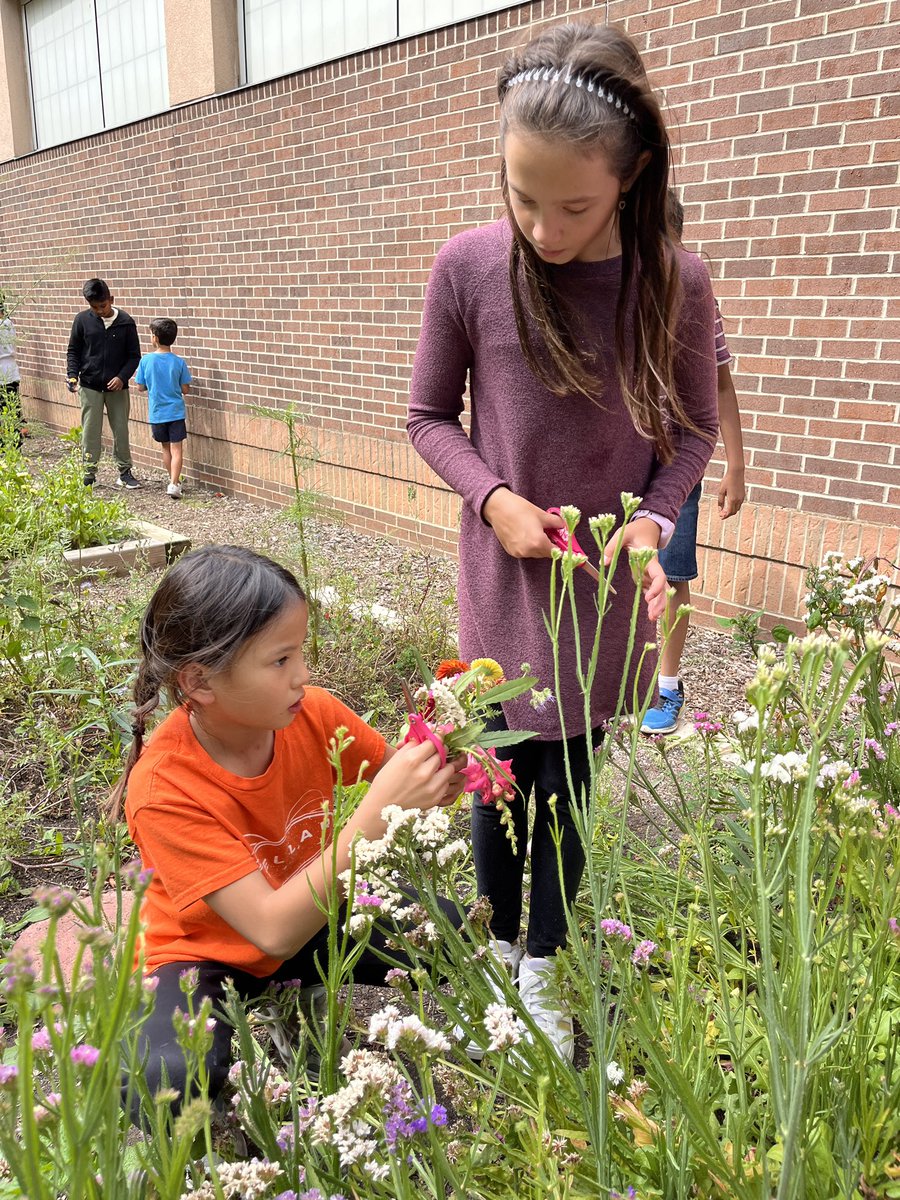 NW Gardeners tweet media