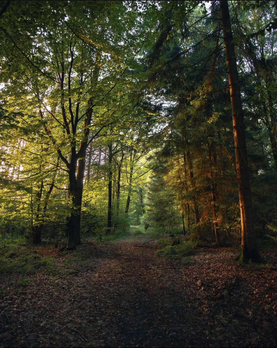 Take a walk with me.