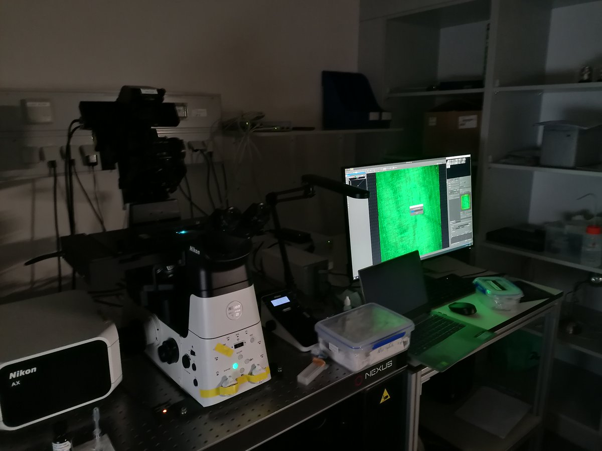 Sebastian Hoepker tweet media