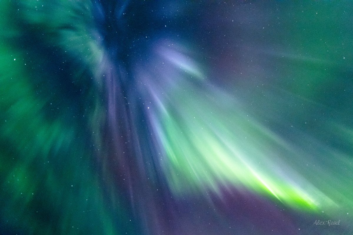 aresel_'s tweet photo. The auroras were absolutely stunning last night over Drayton, North Dakota. An unforgettable night, this never gets old!

#aurora https://t.co/IZnGsIanaO