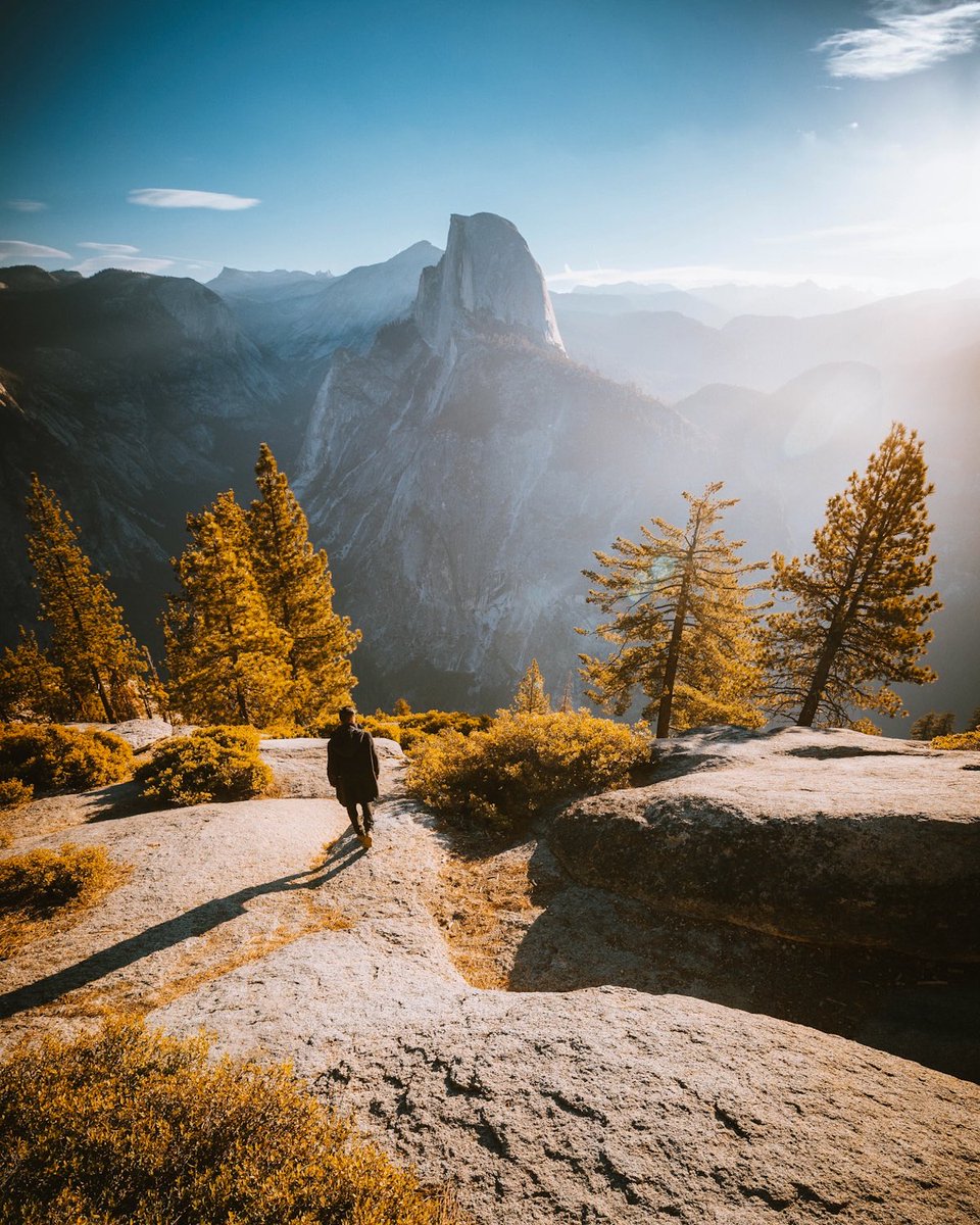 Ravi Vora tweet media