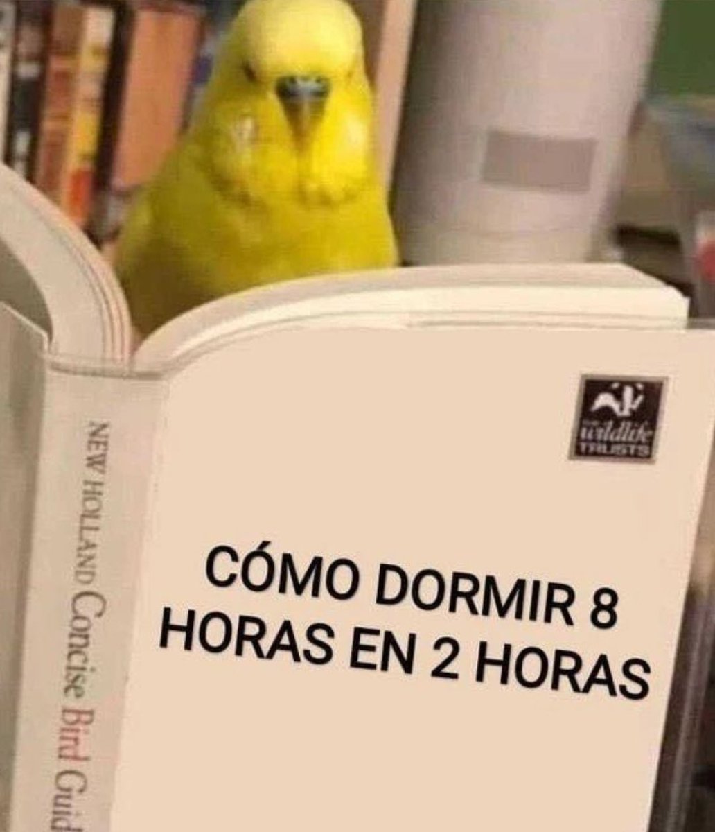 Lo necesito