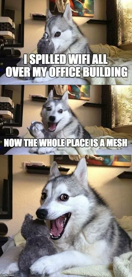 WardComputers's tweet photo. May your Wi-Fi be all over the place. Happy #TechJokeTuesday from your Trusted Technology Partners At Ward Computers. https://t.co/YPckFoVE0s