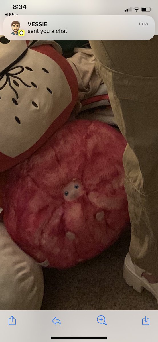 Mamfiettv's tweet photo. This is one of Emma’s stuffed animals 😂💗 #wemma #wemmaforpresident https://t.co/AH5QvYbObc