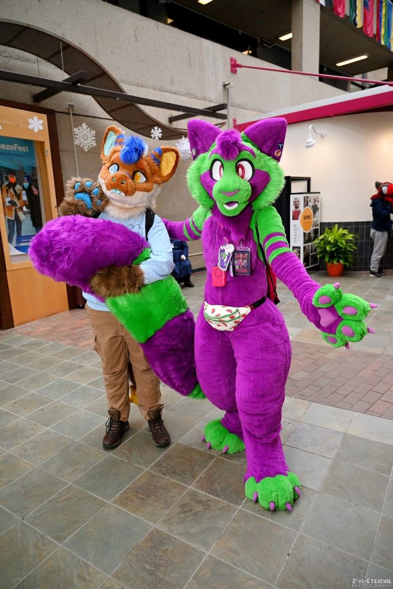 KryTheFloof's tweet photo. Howdy! The name's Kry! I'm an artist focused on digital art and costume creation! You may have also seen me run around conventions as a big green and purple cat! https://t.co/tczPabYpyc