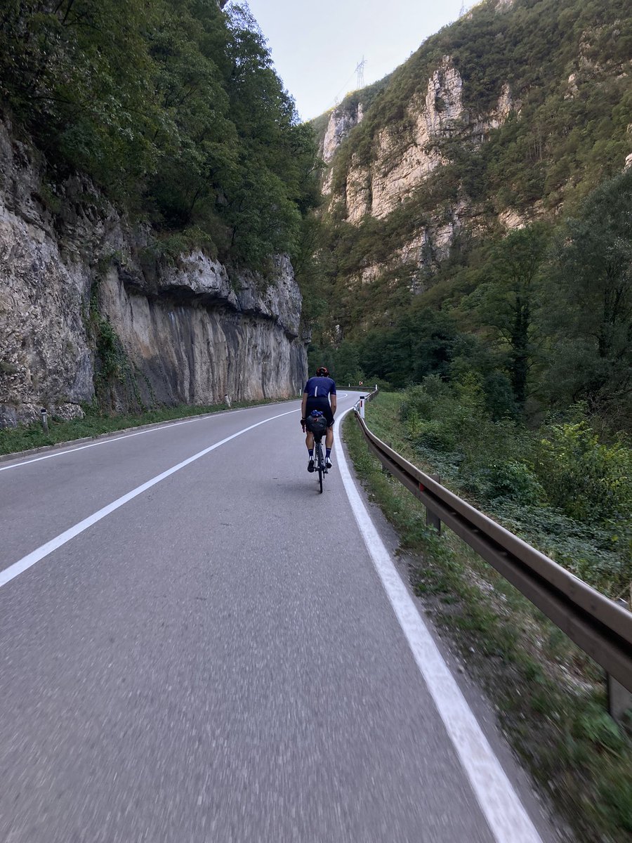 Denise Mitrano tweet media