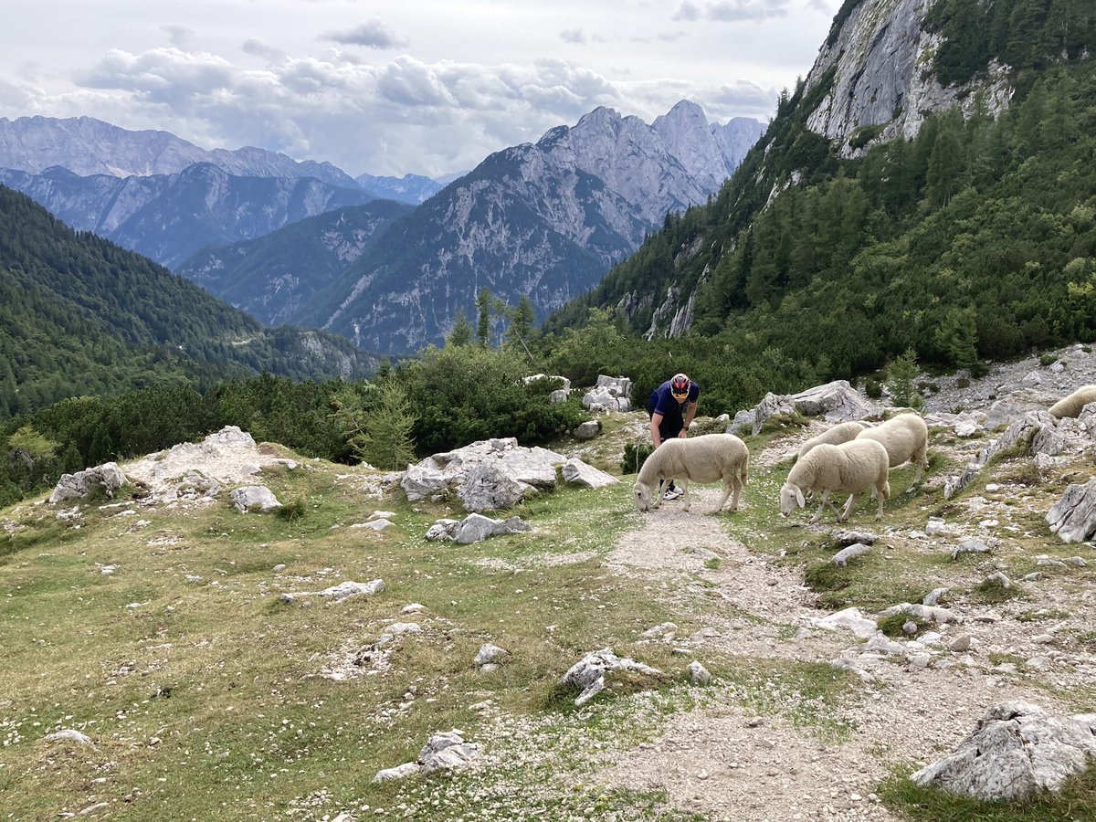 Denise Mitrano tweet media