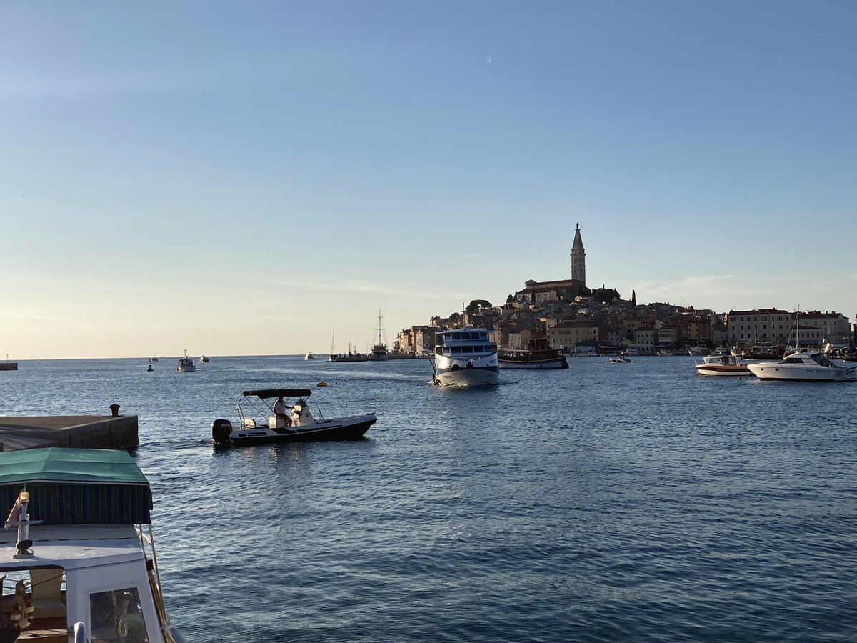 Denise Mitrano tweet media