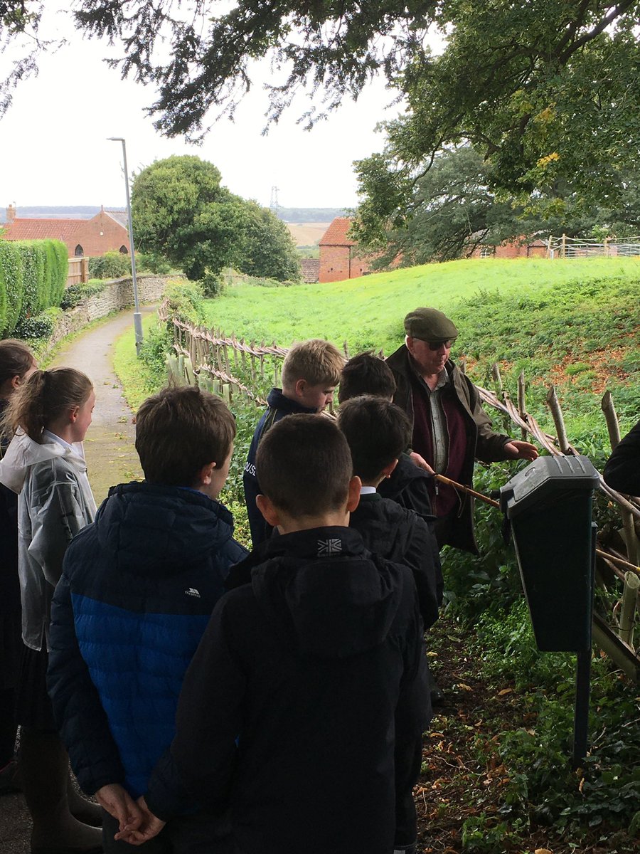 Wellow House School tweet media