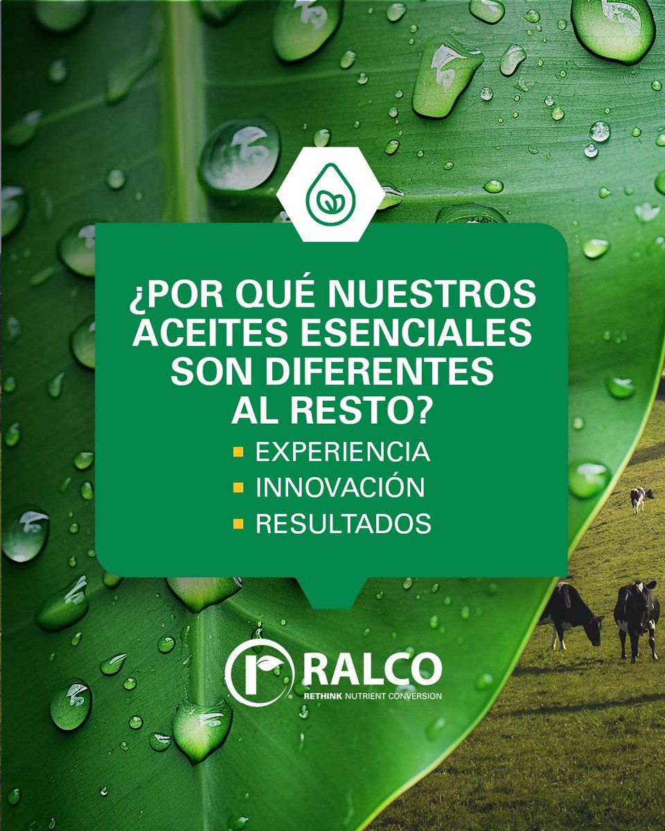 RalcoUruguay's tweet photo. ➡ Nos destacamos en el mundo de los aceites esenciales por tres pilares que nos hacen líderes en el sector:

Experiencia.
Innovación.
Resultados.

😉 Visitá nuestra web para mayor información:
https://t.co/7q8wag7tND

Ralco Uruguay
Convirtiendo nutrición en crecimiento https://t.co/a7BavGkd2d