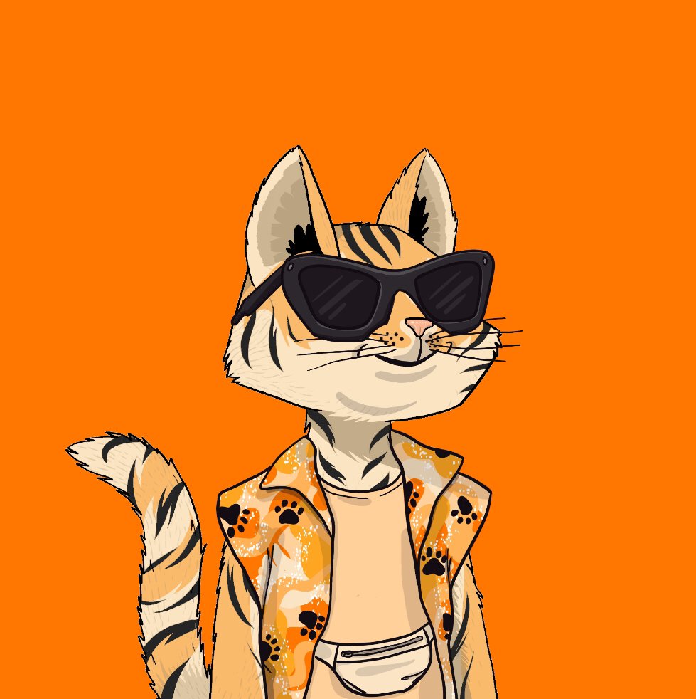 Mars Cats Voyage tweet media