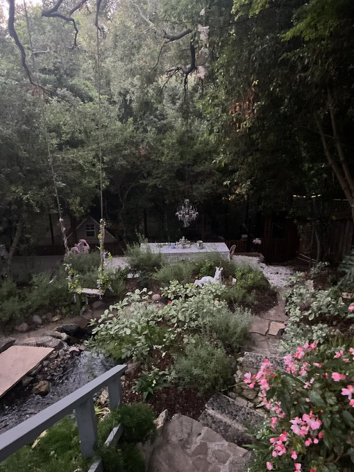 My yard this morning https://t.co/vlxs6au8bF<a href="/tag/reigndeer"class="tags"><span>#reigndeer</span></a>