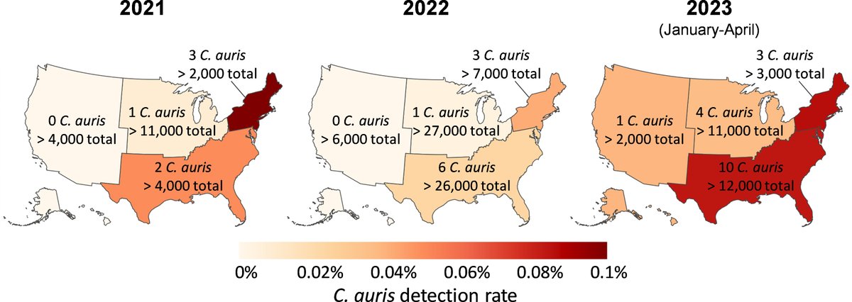 Candida auris continues to increase through 2023 based on real-time surveillance of blood cultures with this emerging pathogen and public health risk. #CandidaAuris #PublicHealthRisk #Surveillance @TristanTimbrook journals.asm.org/doi/10.1128/sp…