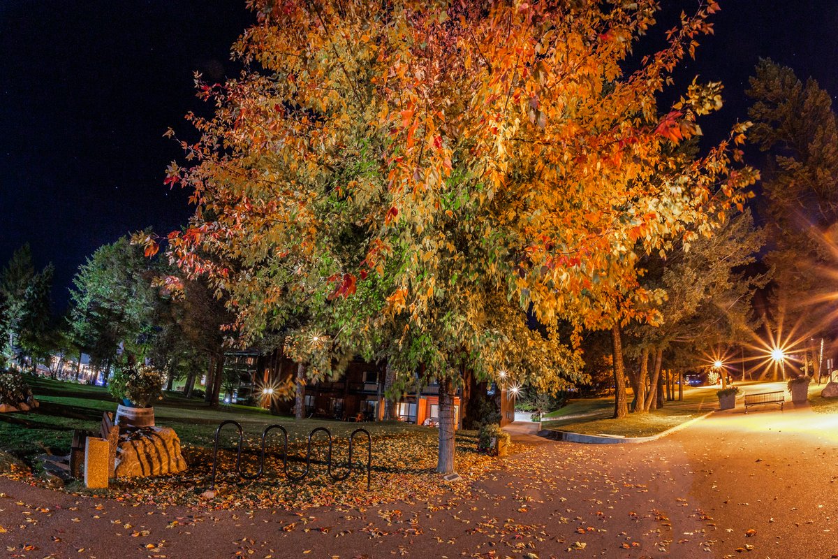 Fairmont Hot Springs Resort tweet media