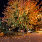 Photo by Fairmont Hot Springs Resort (@FHSresort)