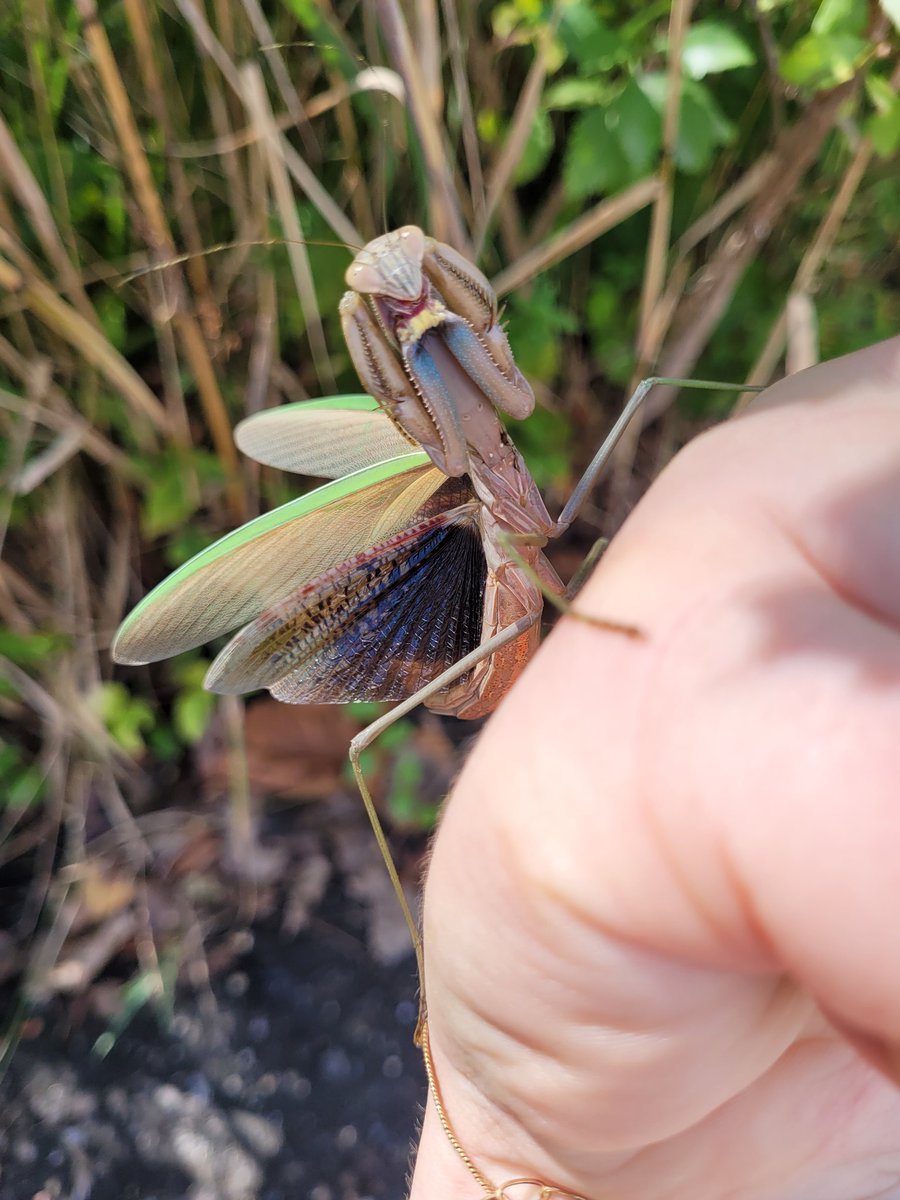 From Here to Bitternity tweet media