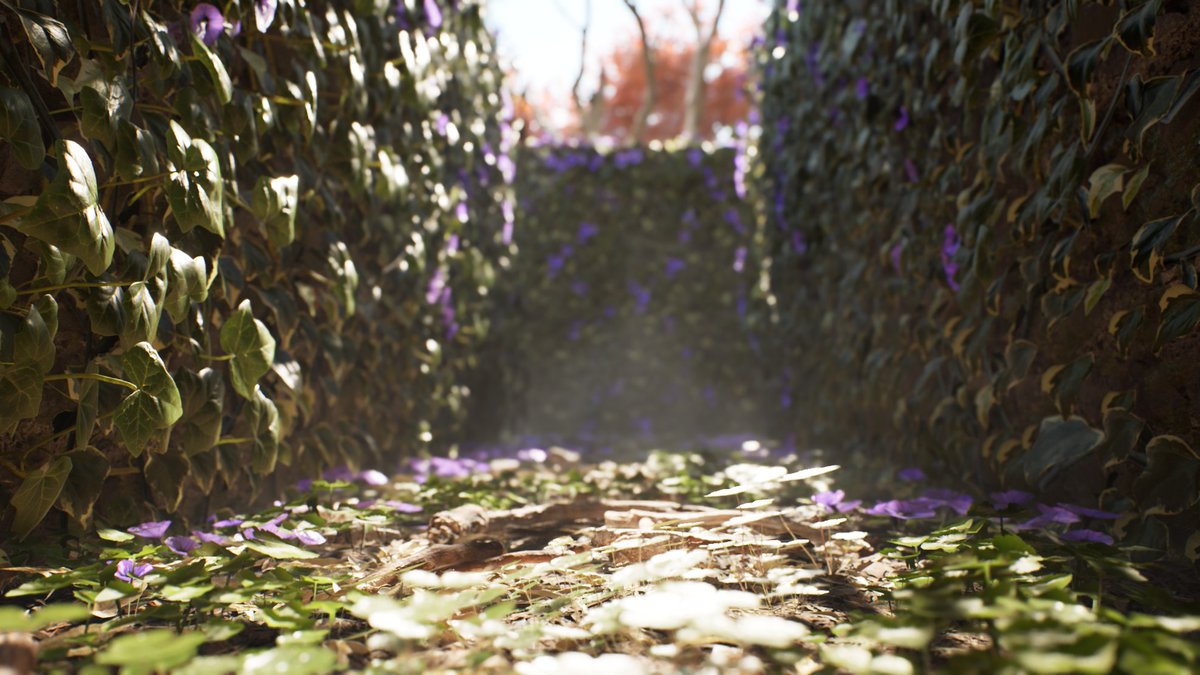 / Vini Cortez tweet media