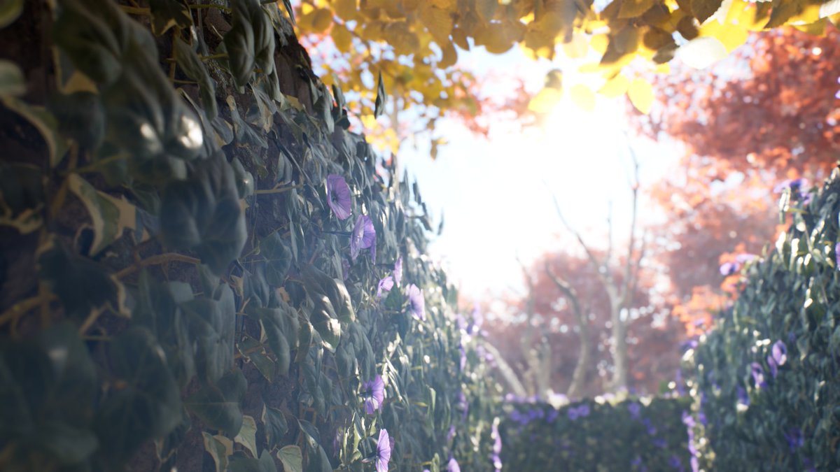 / Vini Cortez tweet media