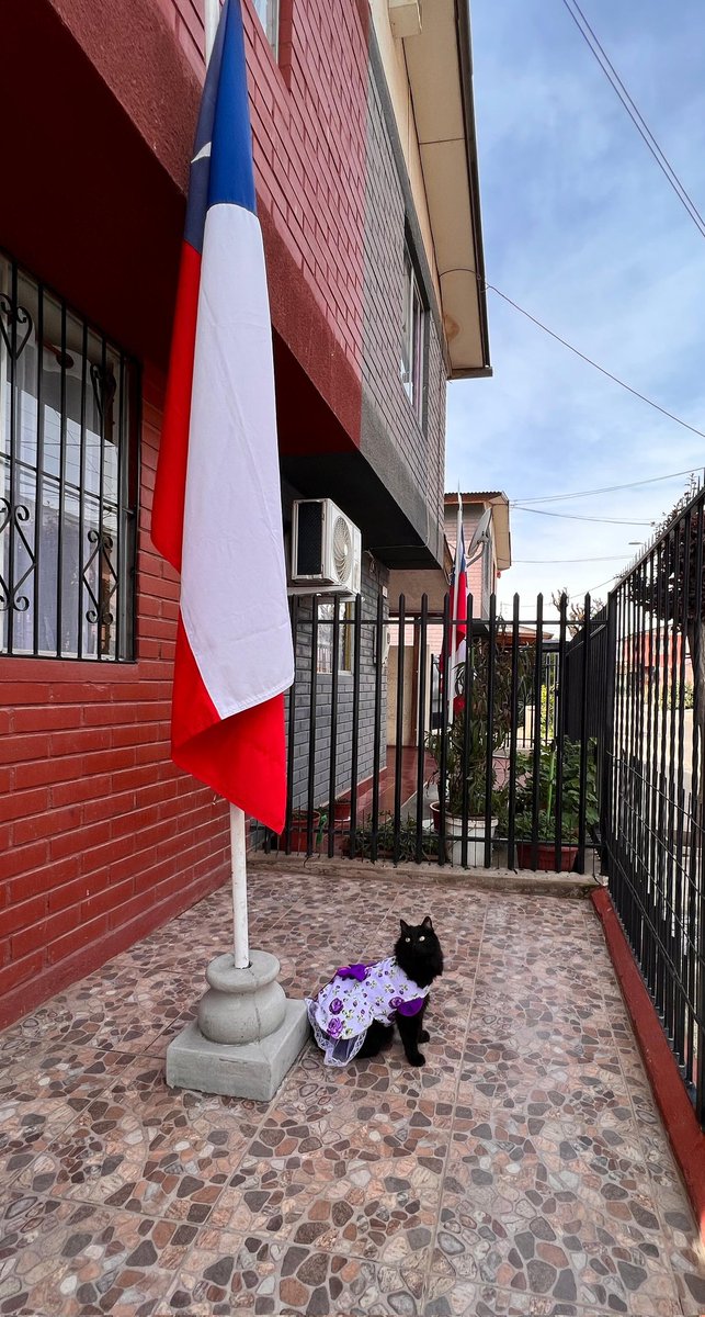 _ner0n_'s tweet photo. Fiestas patrias 🇨🇱❤️
#chile #FiestasPatrias2023 #ParadaMilitar2023 https://t.co/pLPDBxA9nq