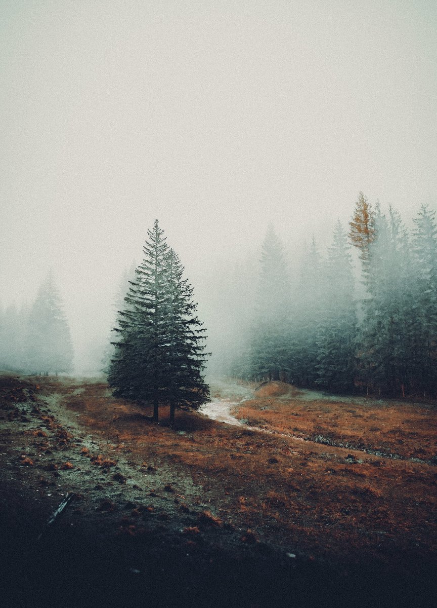suprlunr's tweet photo. LR-01 is a collection of premium profile-based Adobe Lightroom presets that bring analog film-inspired colors and tones to your photos.

Get it → https://t.co/VjdUG7ghHj https://t.co/wlv2ASg2j0