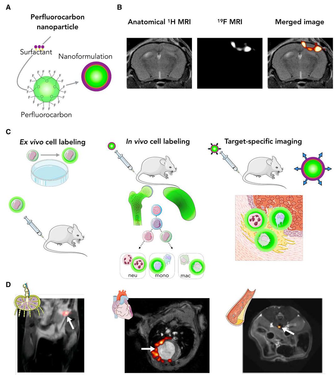 Ruud van Heeswijk tweet media
