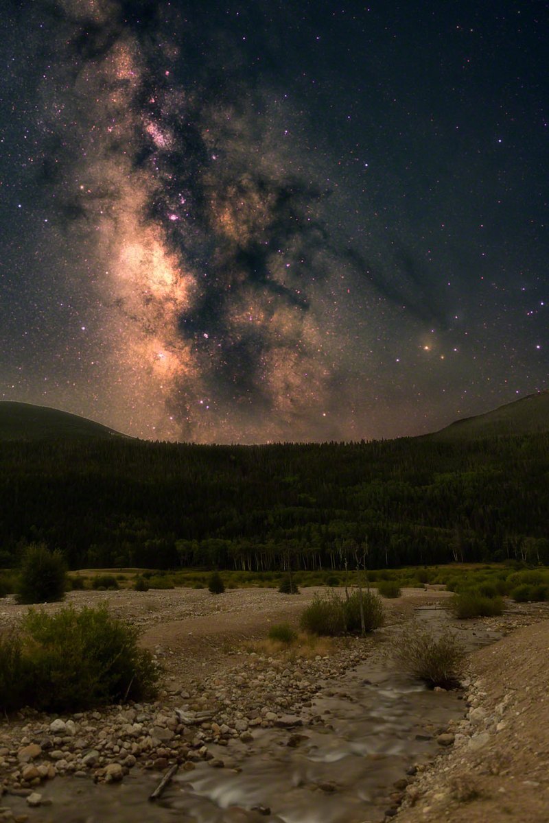 Ken Sickles tweet media