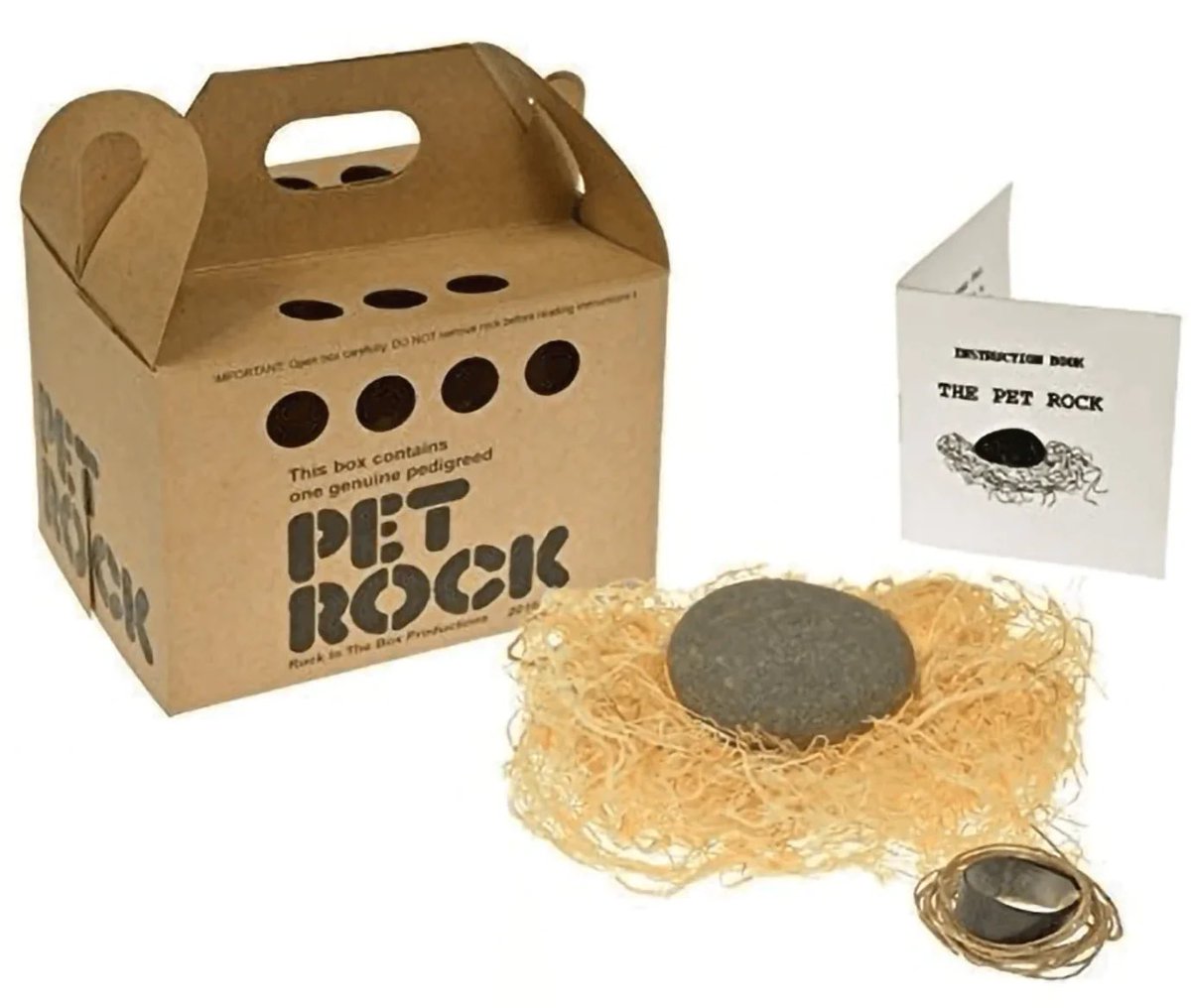 Documental_'s tweet image. Next time you doubt yourself remember that Gary Dahl became a millionaire selling “pet rocks.”