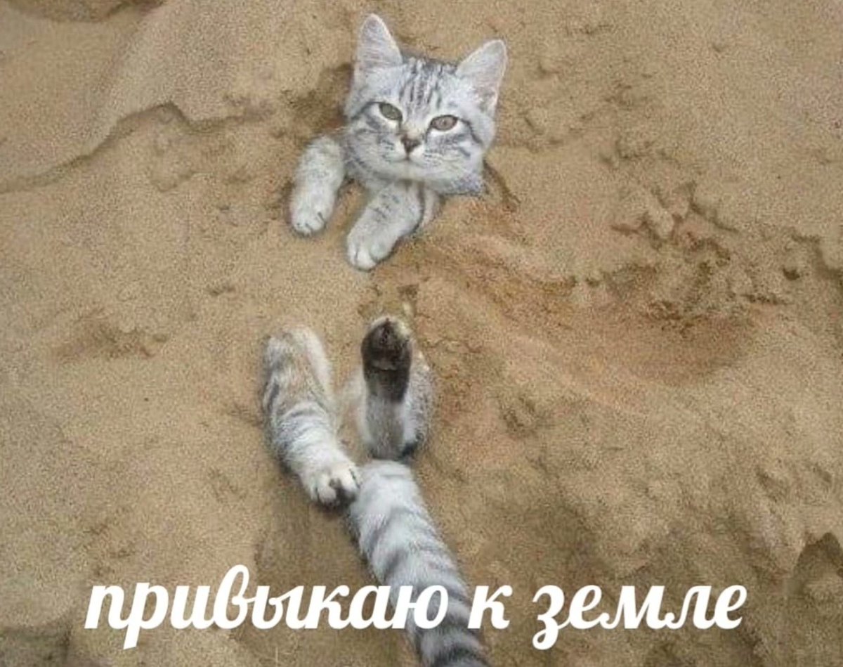 Род моей деятельности примерно таков
