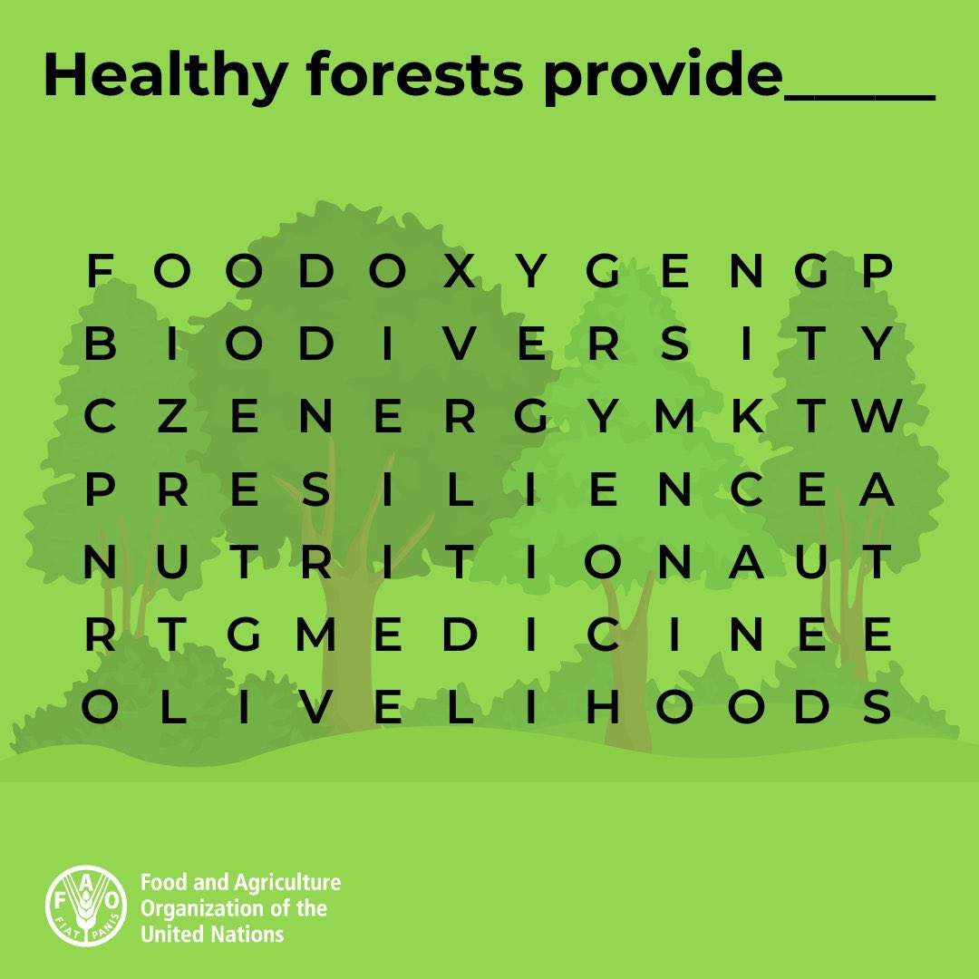 Healthy forests provide ____________.

Share with us the first 3 words you see!

#ForestsMatter #SDG15

Via @FAOForestry