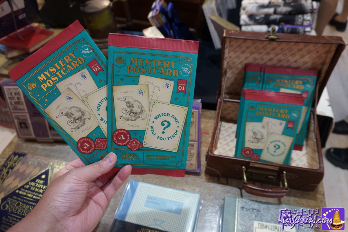 ミナリマ ニュートのメモ「魔法動物」スケッチ ポストカード ニフラー