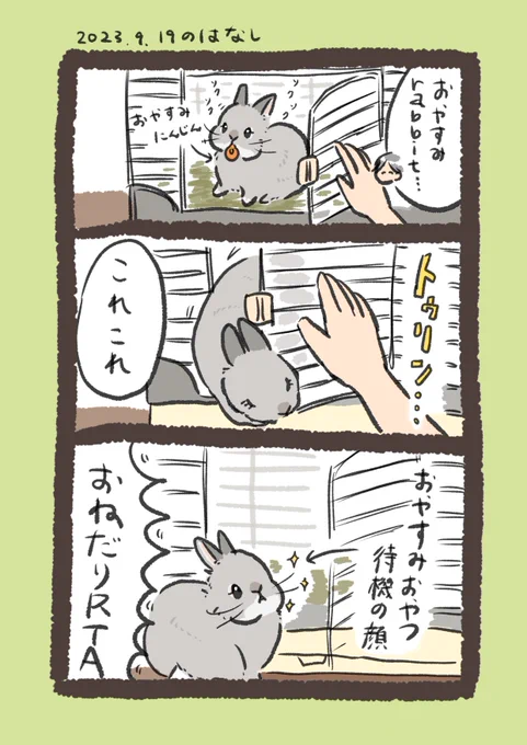 かしこrabbit…

#うさぎのいる生活 