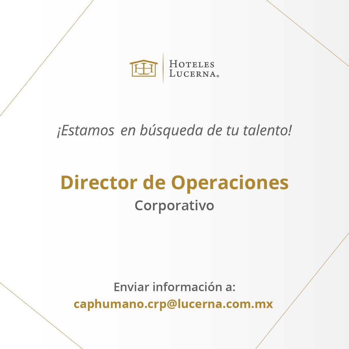 HotelesLucerna's tweet photo. Únete a la familia Lucerna ✨
Estamos buscando Director de Operaciones Corporativo, por favor envía tu CV a caphumano.crp@lucerna.com.mx https://t.co/YRm9BVIay0