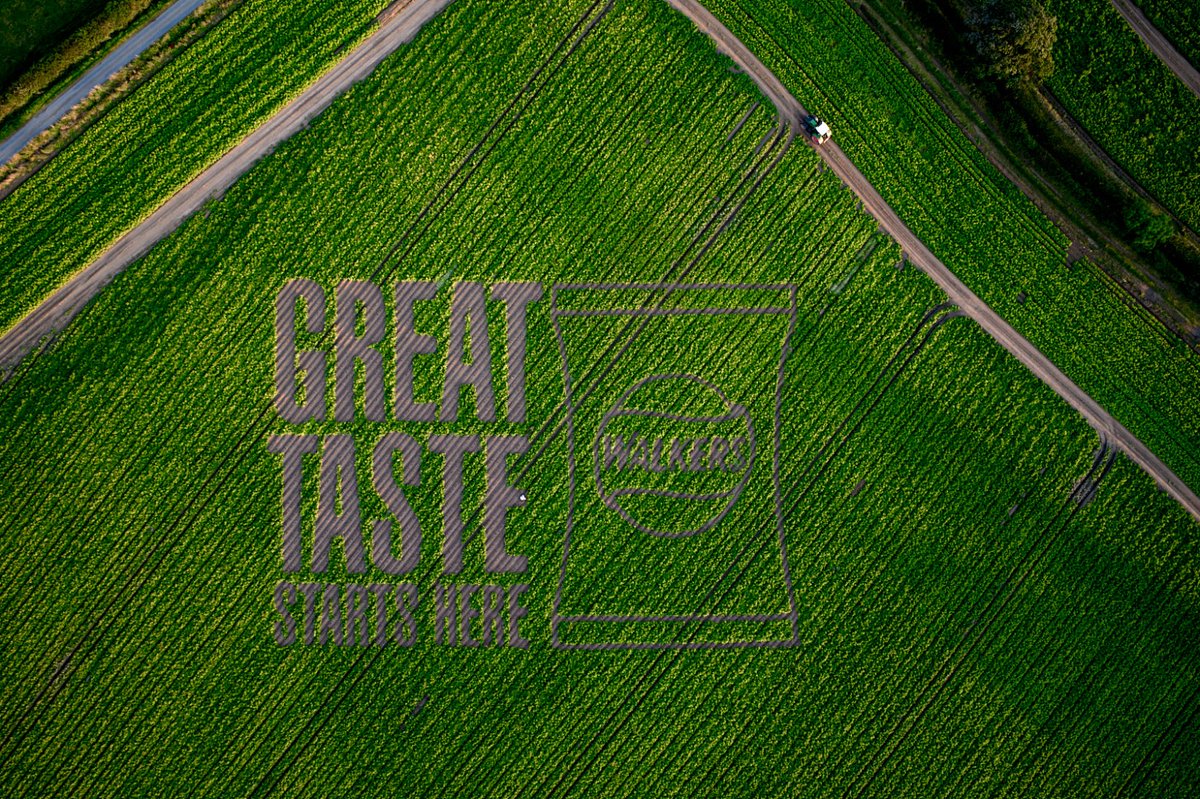 Never thought I'd be the world's leading expert in potato field cropverts.