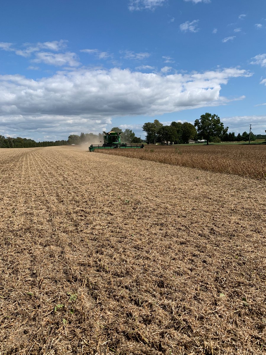 Making room for some early wheat. <a href="/WheatPete/">Peter Johnson</a>