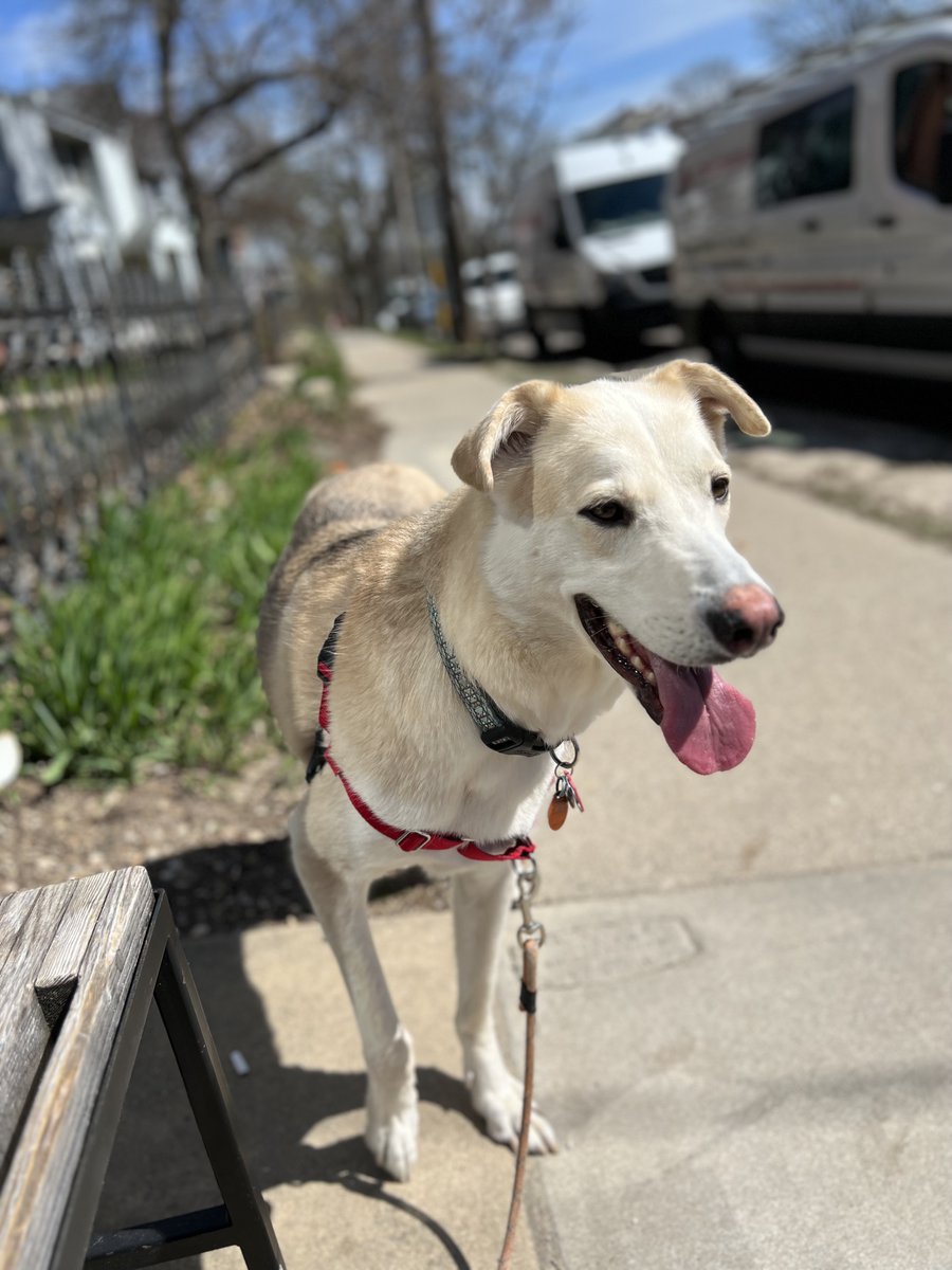 Michelle Schwarze tweet media