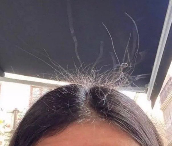 oq toda mulher odeia: