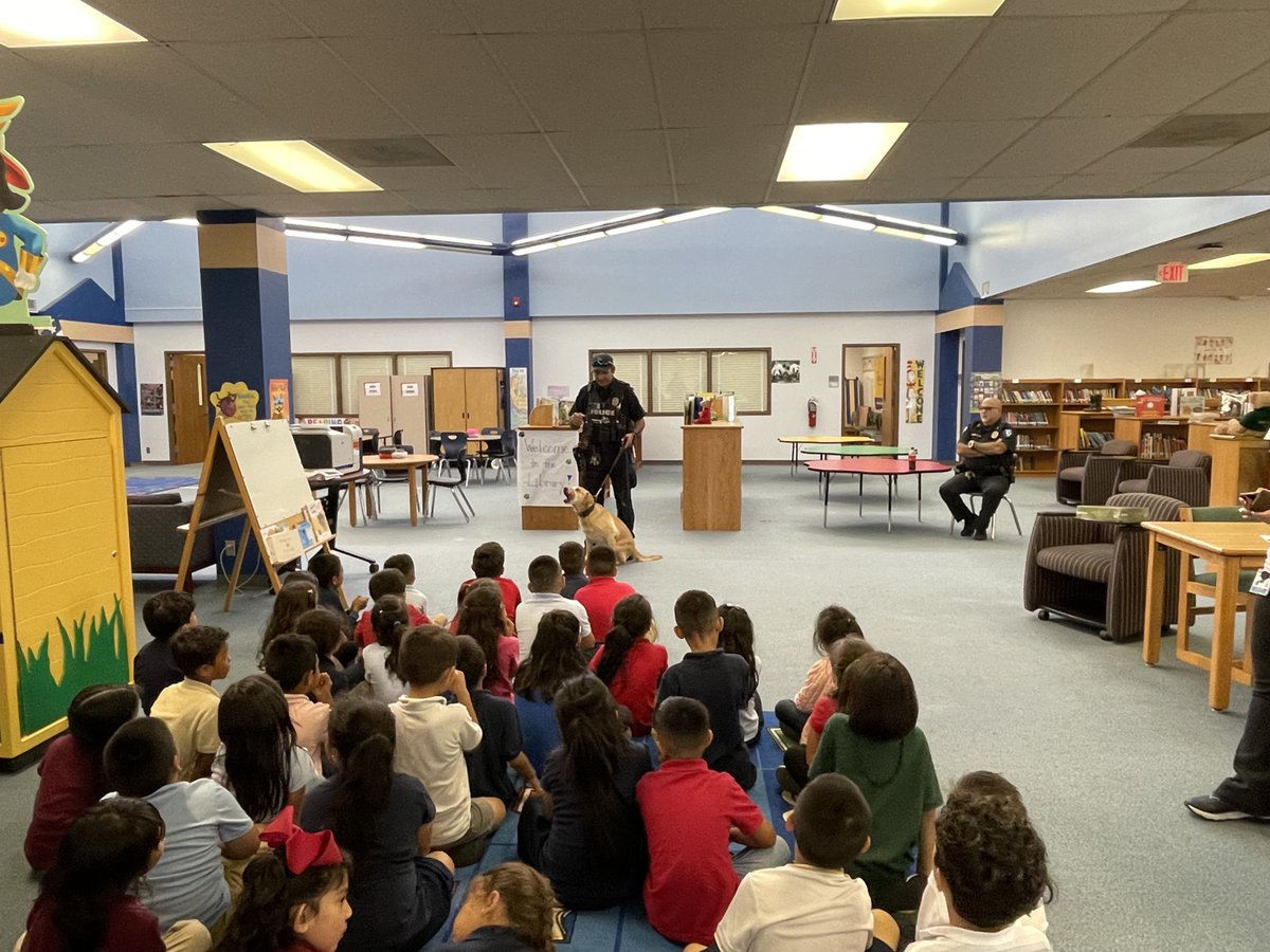 WoodviewLibrary tweet media