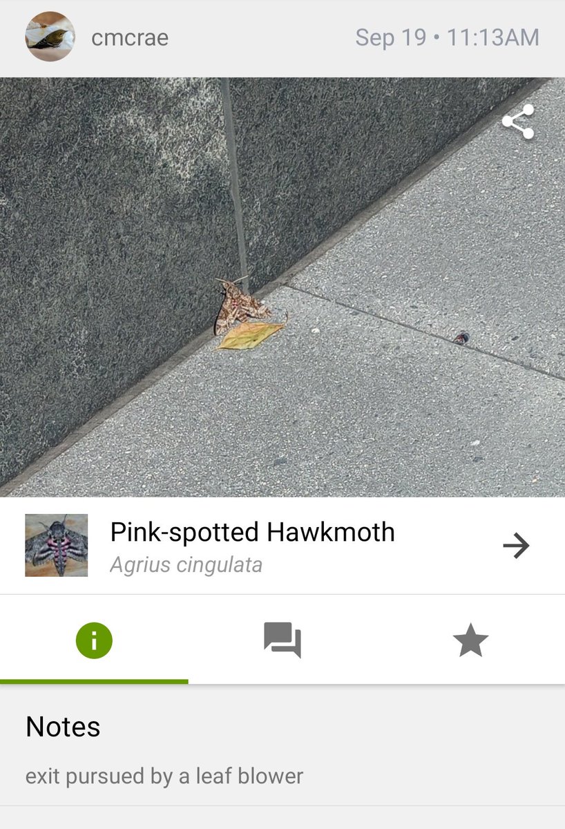 From Here to Bitternity tweet media