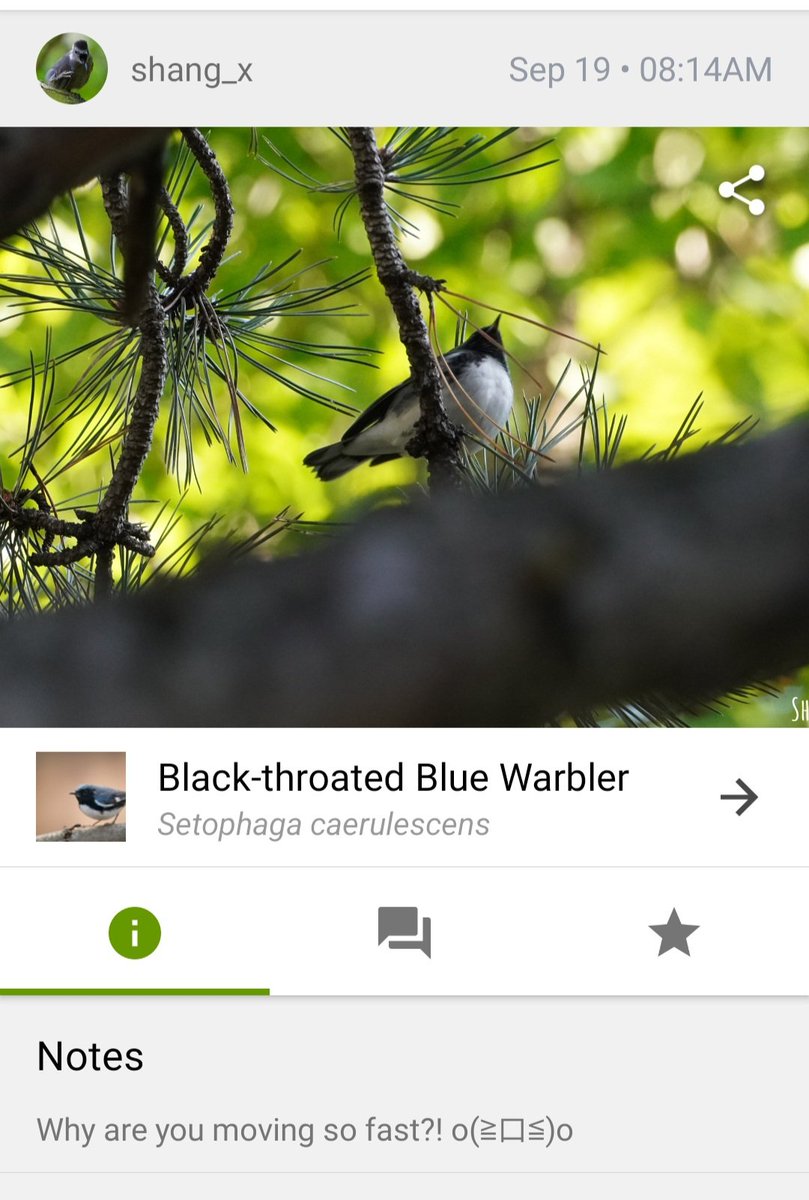 From Here to Bitternity tweet media