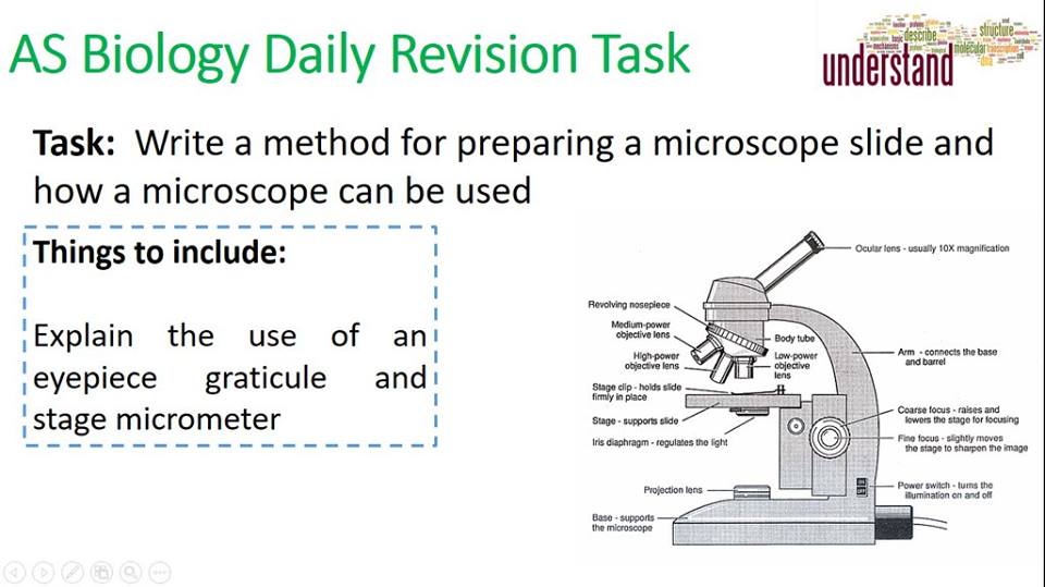 Today's tasks...