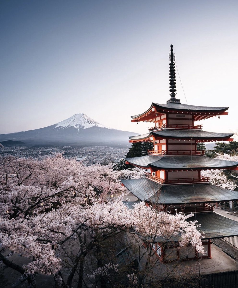 japaxnn's tweet photo. The beauty of Japan https://t.co/dnzKQADloh