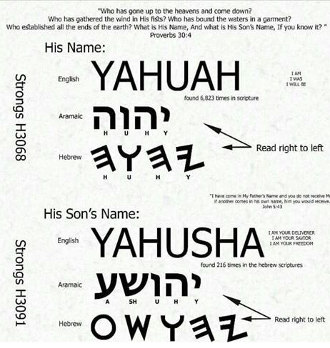 ThundersSeven's tweet photo. @MrMrsTrumpet H3444 #YaShUA (fem) noun refers to "the #Bride" of #YaHUShA (H3091) = proper masc. noun "transliterated" beyond recognition to the Greek G2424 #Iesous then Latin #Iesvs
He is #esteeming His Name once more, just as He said He would do. #YaDaH #YaHUaH now & #forever more.
#Shalom https://t.co/9v5jcG0UL7
