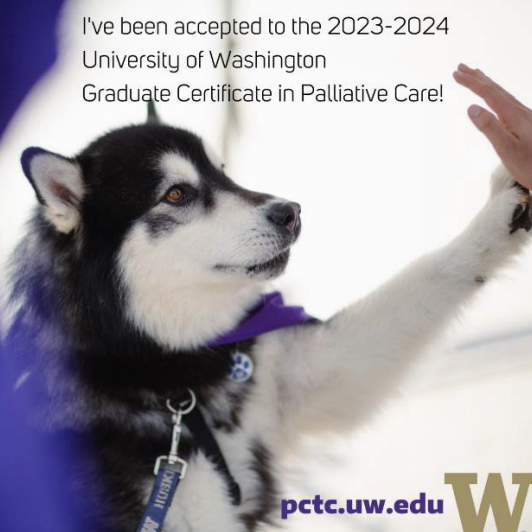 zulegu6's tweet photo. @UW_PalCare_Cntr  I feel very happy and excited to start this new opportunity with the UW. / Me siento muy feliz y emocionada por empezar esta nueva oportunidad con la UW. Vamos avanzando más en los Cuidados Paliativos Pediátricos en México y LATAM! https://t.co/kvXw89SEPg