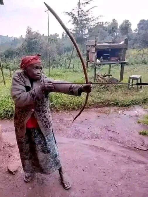 Kwandiri zvangu ex is an ex for a reason. I block all communication even tikasangana hie handiite back to restore factory settings. Ndava team irori ukarosekerera unorohwa paper 2. I avoid such nonsense at all costs.
Mina Ngekhe