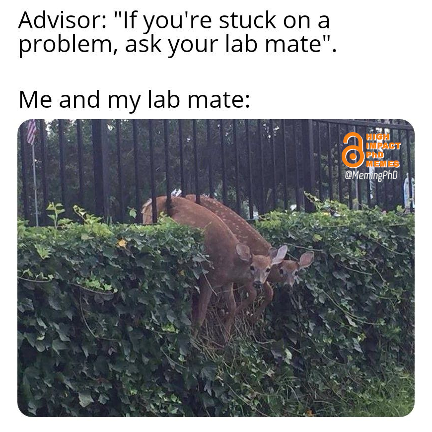 High Impact PhD Memes tweet media