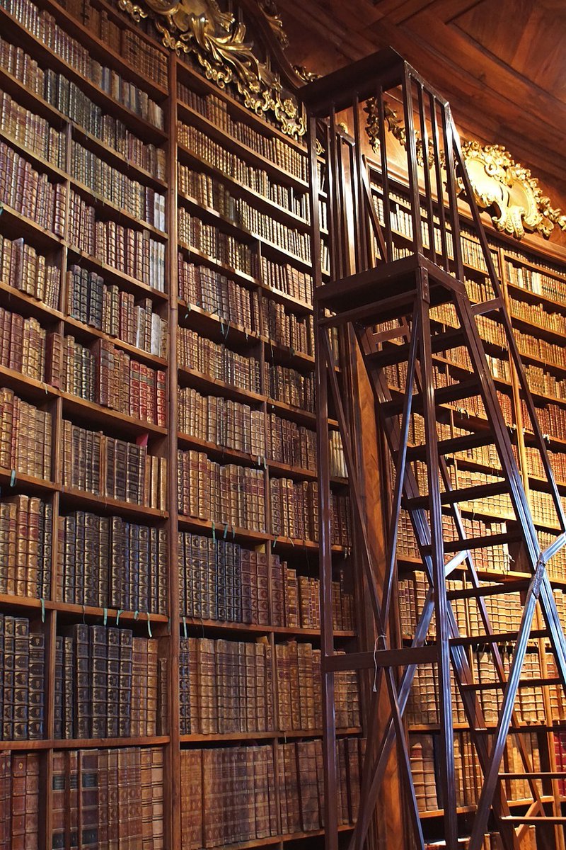 La belleza de los libros