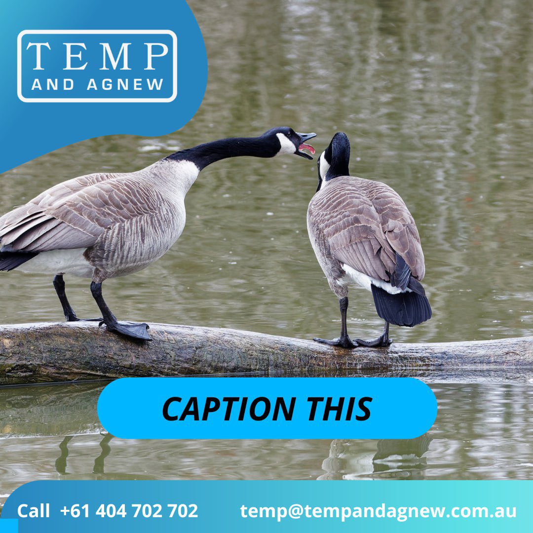 #CaptionThis
    #CaptionContest
    #CaptionChallenge
    #CreativeCaptions
    #FunnyCaption
    #CaptionCompetition
    #CaptionThisPhoto
    #WittyCaptions
    #CaptionGame
    #CaptionIt
    #CaptionThisMoment
    #CleverCaptions
    #CaptionFun
    #HumorousCaptions