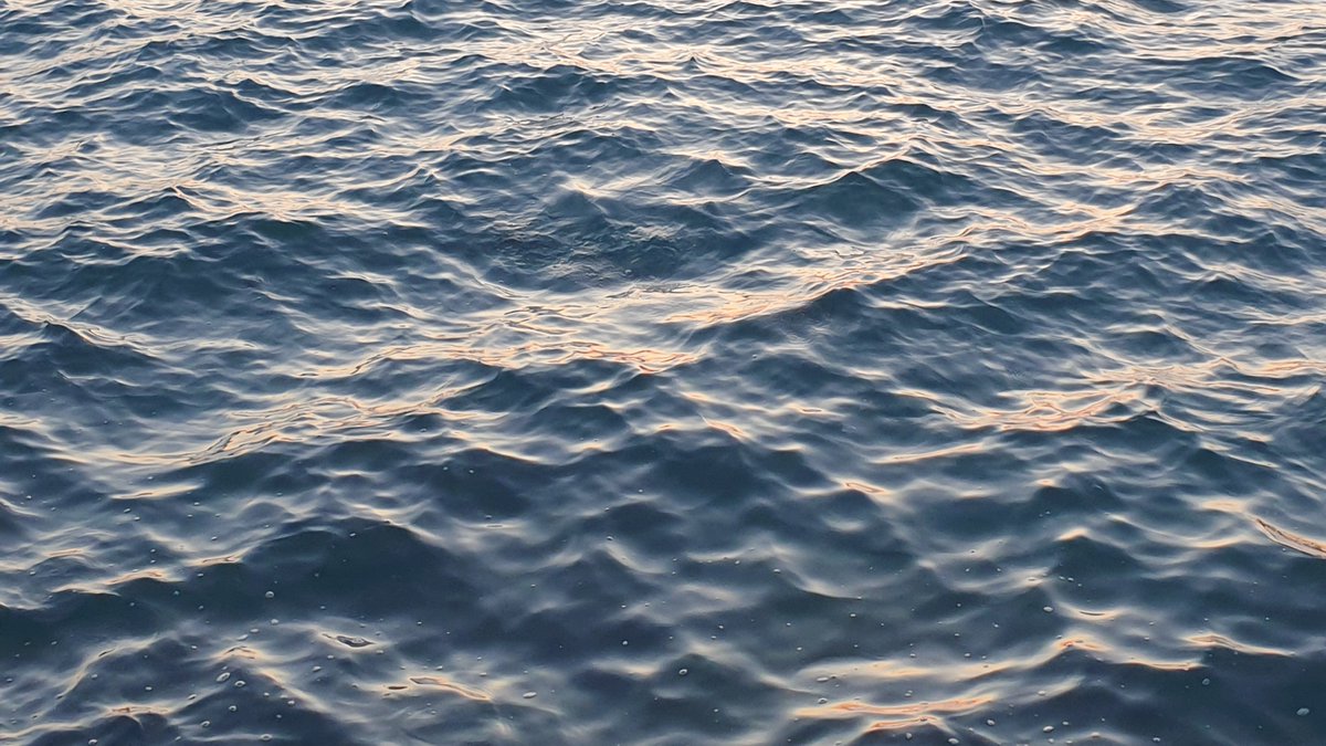 juls is seeing bts tweet media