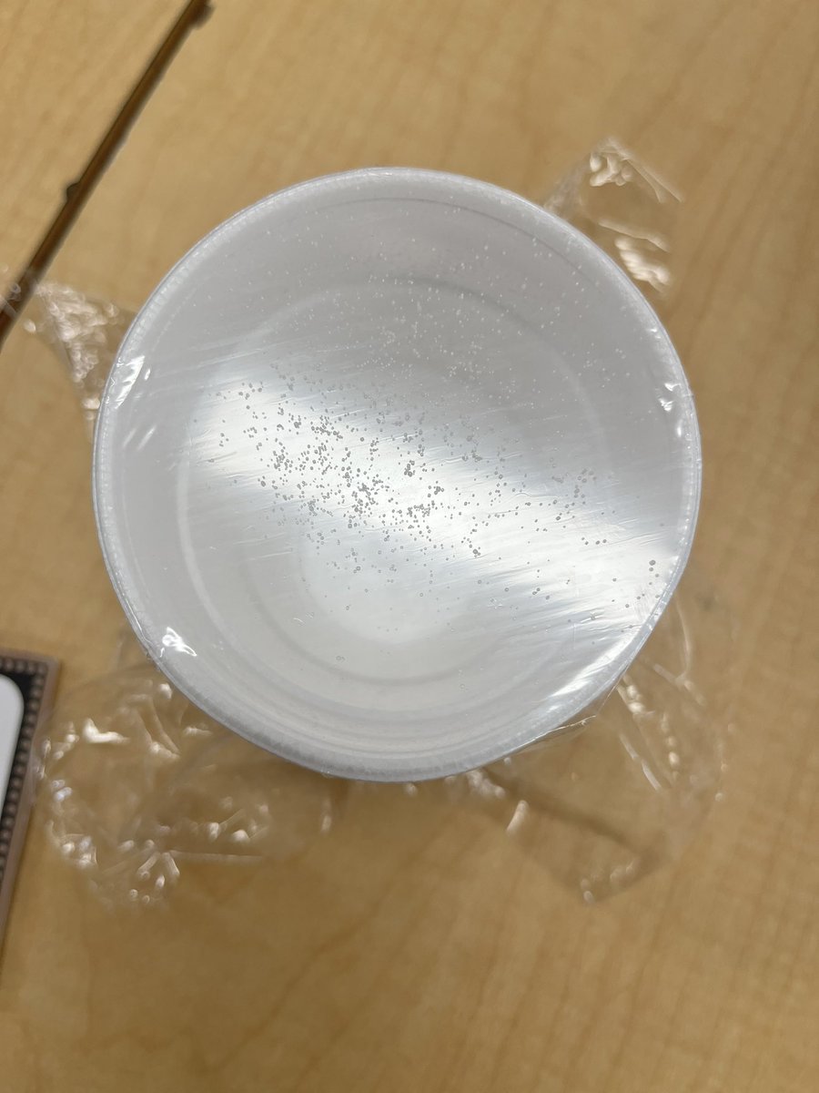 Ready to investigate sound energy!