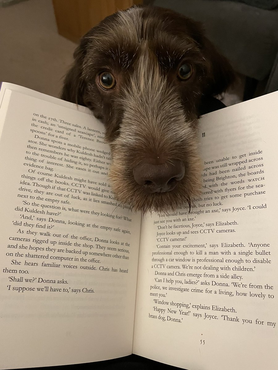 picklebott's tweet image. Someone else equally excited about the gang being back together #ThursdayMurderClub #lastdeviltodie @richardosman